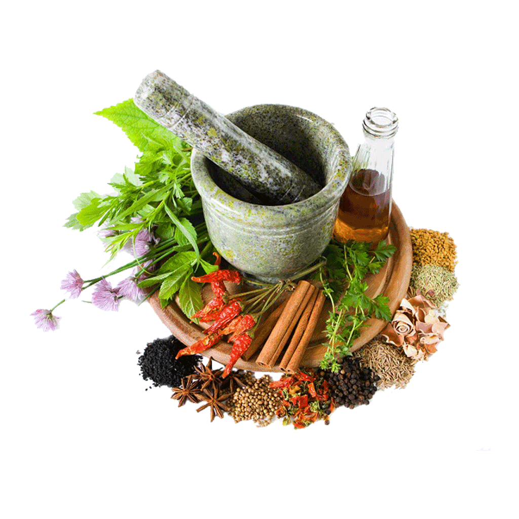 1701846456-kisspng-herbalism-therapy-herbal-tonic-medicine-spice-5abb76950594b8.6884587515222350290229-1.png
