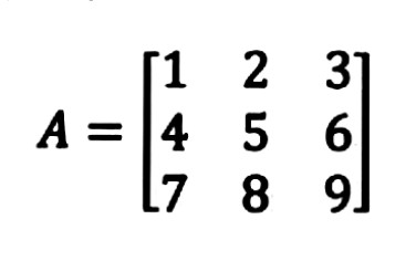 1733306465-matrices.jpg
